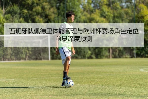 西班牙队佩德里体能管理与欧洲杯赛场角色定位前景深度预测